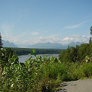 Picture 016